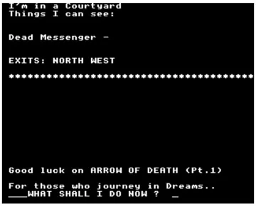 Arrow of Death - Part 1 (198x)(Adventure Soft) screen shot game playing